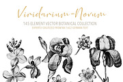Vintage Engraved Botanical Elements, an Illustration by Jennadesigns (Thumbnail 7 of 12)