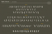 Granity, a Sans Serif Font by Nathatype (Thumbnail 10 of 10)