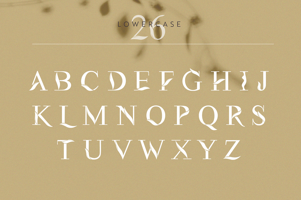 Flora | Modern Display Font, a Serif Font by Kandella's Art (Photo 9 of 18)