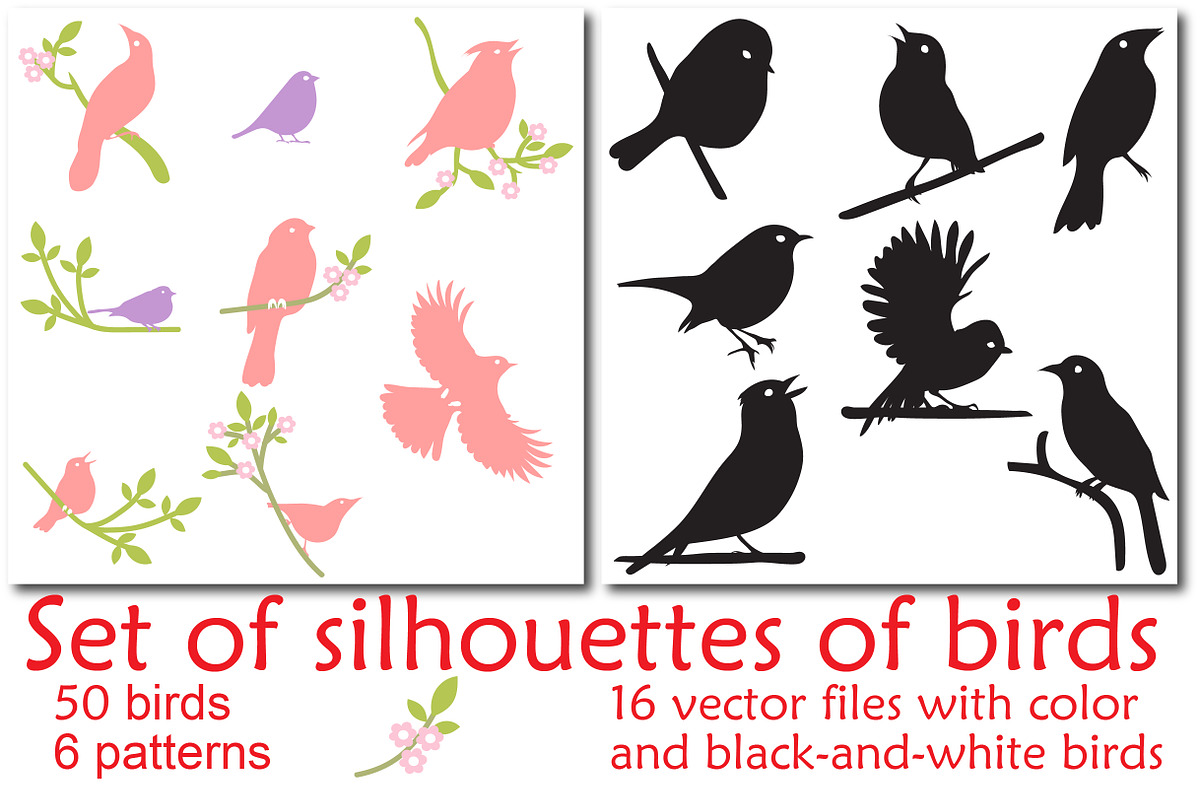 Bird silhouettes, Vector Collection, an Object Graphic by Orangepencil (Photo 1 of 6)