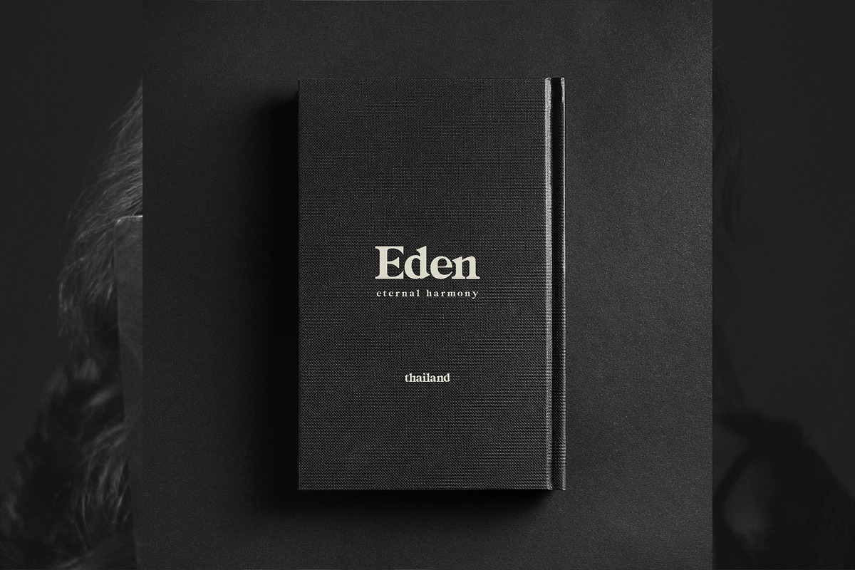 EDEN - MODERN DISPLAY SERIF FONT, a Serif Font by BURSTYPE (Photo 3 of 8)
