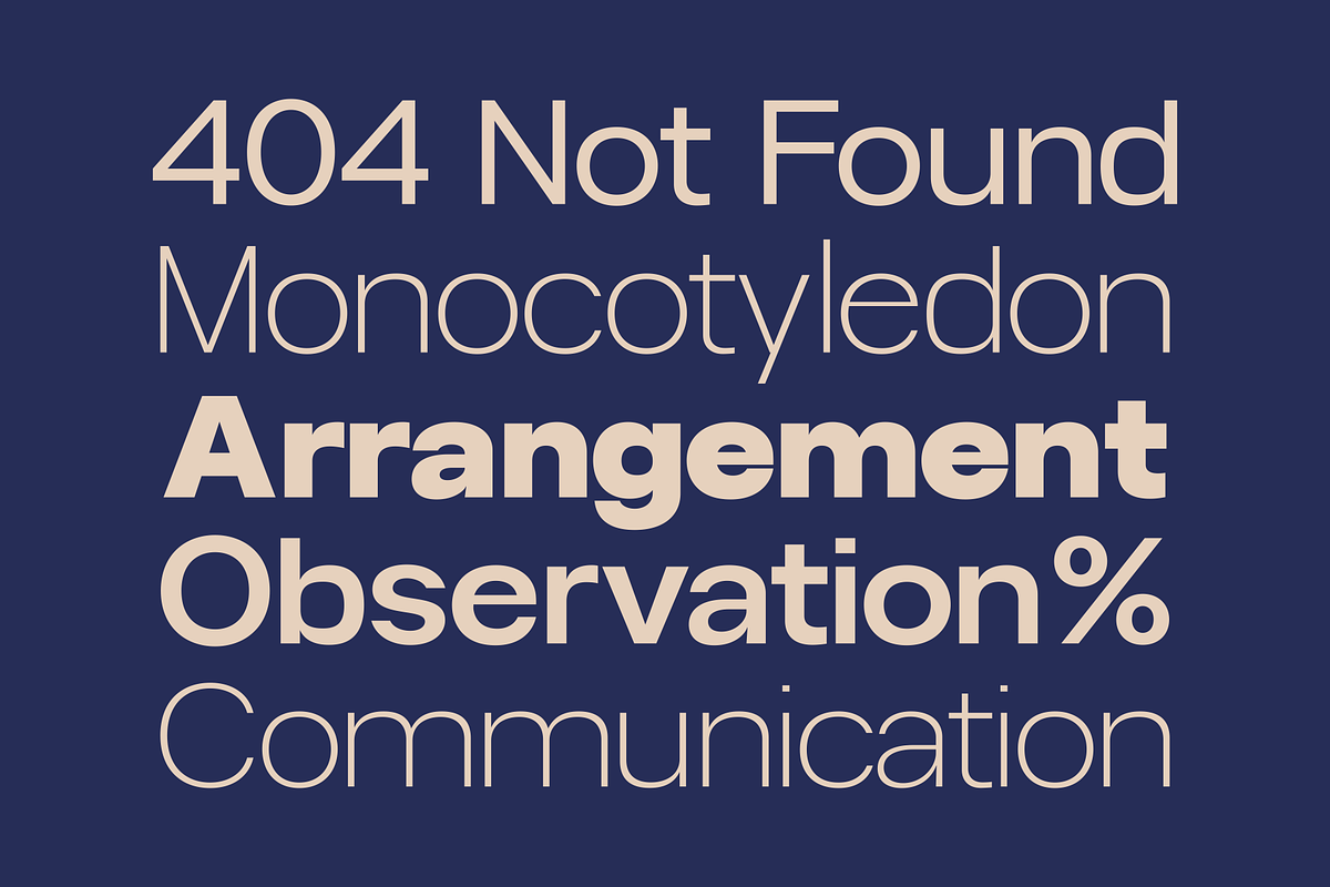 Gaglio Family Font, a Sans Serif Font by Marvadesign (Photo 2 of 9)