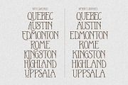 Le Petite Muse Vintage Ligature Font, a Serif Font by AndrewPixelType (Thumbnail 10 of 11)