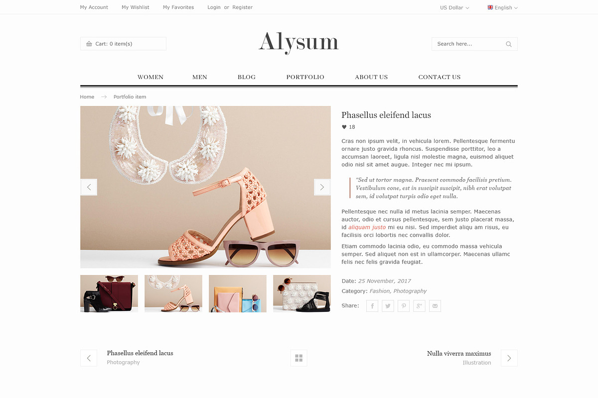 Alysum - eCommerce PSD template, a Websites & App Template by Promokit (Photo 23 of 30)