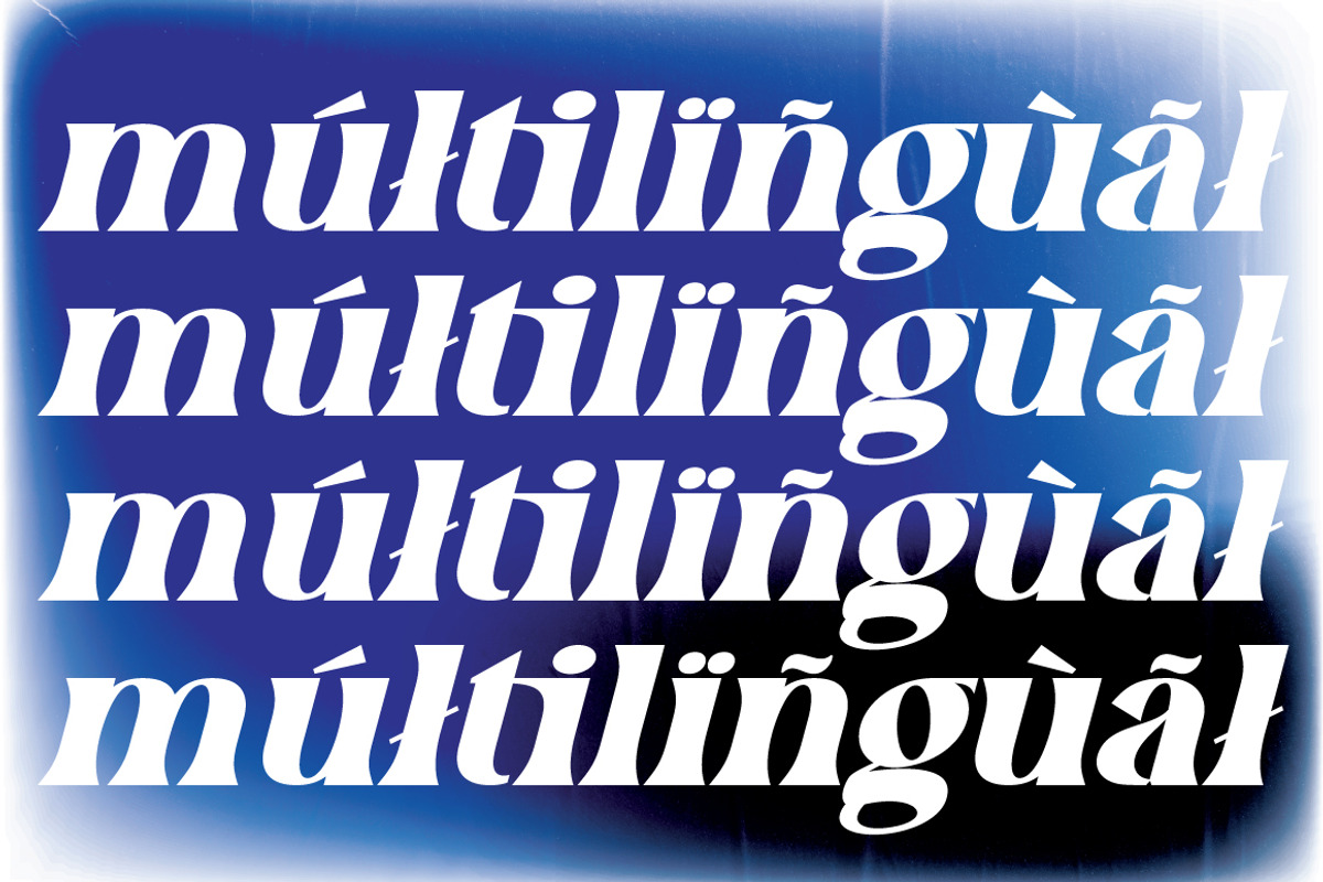 Swomun - Bold Serif, a Serif Font by tebaltipislab (Photo 5 of 15)