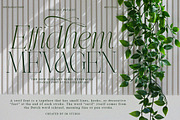 Effidhem Mevagen | 18 Font Files, a Serif Font by IM Studio (Thumbnail 10 of 14)