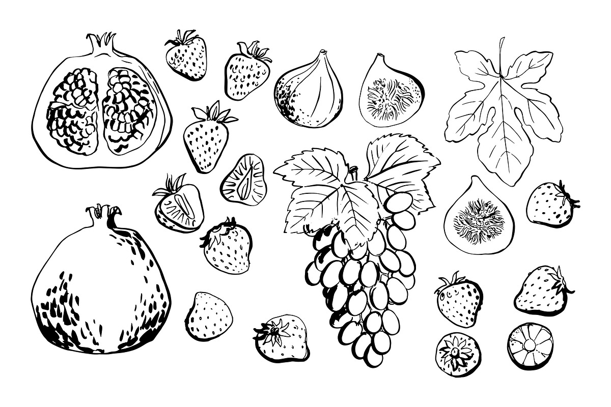 Fruits and berries vector sketch, a Food Illustration by irina.vaneeva (Photo 10 of 11)