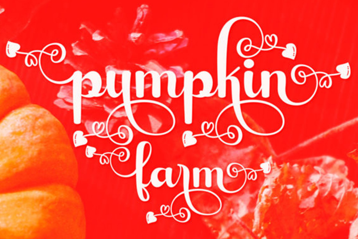 Hannah Script, a Script Font by Gatype (Photo 5 of 5)