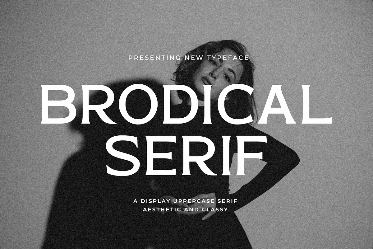 Brodical Serif, a Serif Font by Violet Natural (Photo 1 of 8)