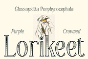 CS Alma Stippled, a Serif Font by Craft Supply Co. (Thumbnail 2 of 8)