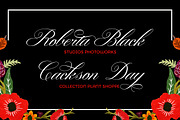 Gallisia Script, a Script Font by Picatype Studio (Thumbnail 2 of 9)