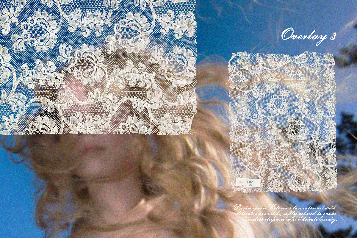 Vintage Lace Pieces Overlays, a Texture Graphic by Kaleriia (Photo 4 of 18)