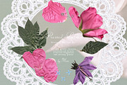 Pressed Bloom Dopamine Set, an Object Graphic by Muse Artist (Thumbnail 4 of 16)