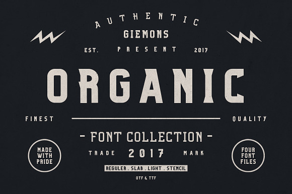 Organic Family - 50% OFF preview 7