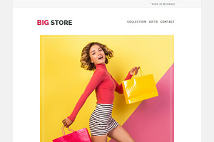 BIG STORE - Email Newsletter