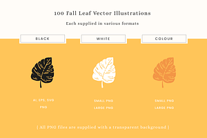 Fall Leaves Vector Illustrations