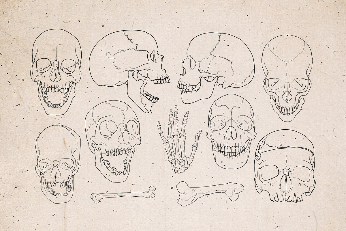 Procreate - Tattoo Basic Stencil Set, a Brush Add-On by DiBrush Studio (Photo 7 of 8)