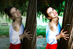 Quesnelia Pro Lightroom Presets