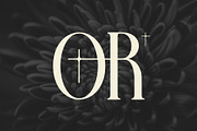 Farqey Denours Serif Font, a Serif Font by Heinzel Std (Thumbnail 8 of 19)