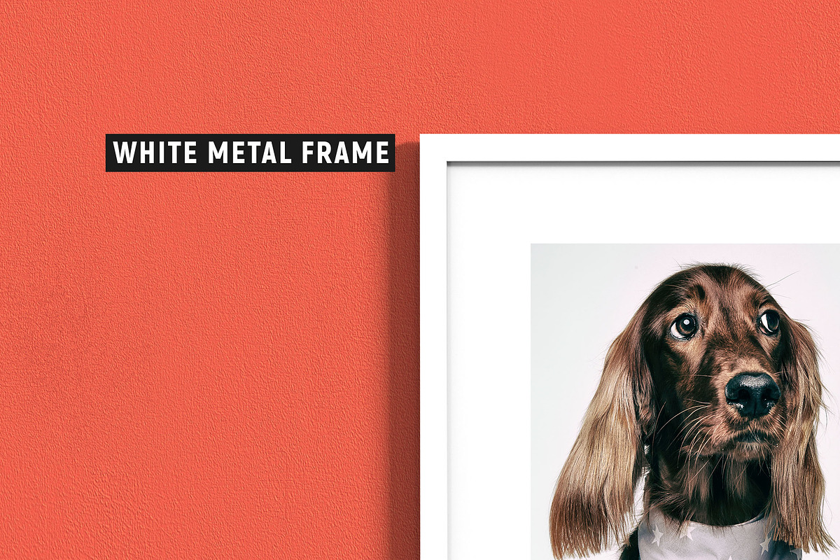 10 Frames - Wood & Metal + 7 Walls, a Print Template by CorgiAstronaut (Photo 16 of 19)