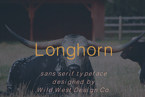 LONGHORN