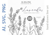 Lavender Clipart Line Art, an Object Graphic by CaraulanStore (Thumbnail 1 of 10)