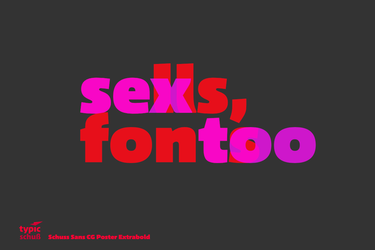 Schuss Sans CG Poster Extrabold preview 2