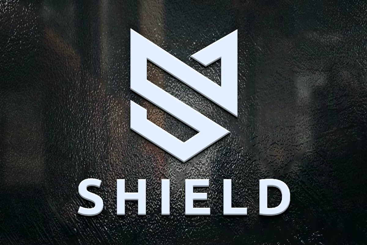 Shield Protection Business Line Logo, a Branding & Logo Template by jongcreative (Photo 3 of 3)