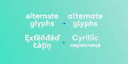Gordita, a Sans Serif Font by Type Atelier (Thumbnail 9 of 11)
