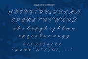 Amely Shine - Beautiful Script Font, a Font by Salamahtype (Thumbnail 6 of 8)