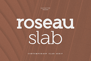 Roseau Slab, a Slab Serif Font by FactoryType Studio (Thumbnail 1 of 11)