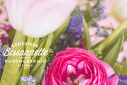 Spring bouquet bundle, a Nature Photo by GB Photographie (Thumbnail 6 of 8)