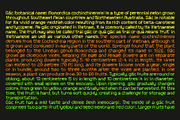 Froot Full Family, a Font by Nguyen Type (Thumbnail 6 of 12)