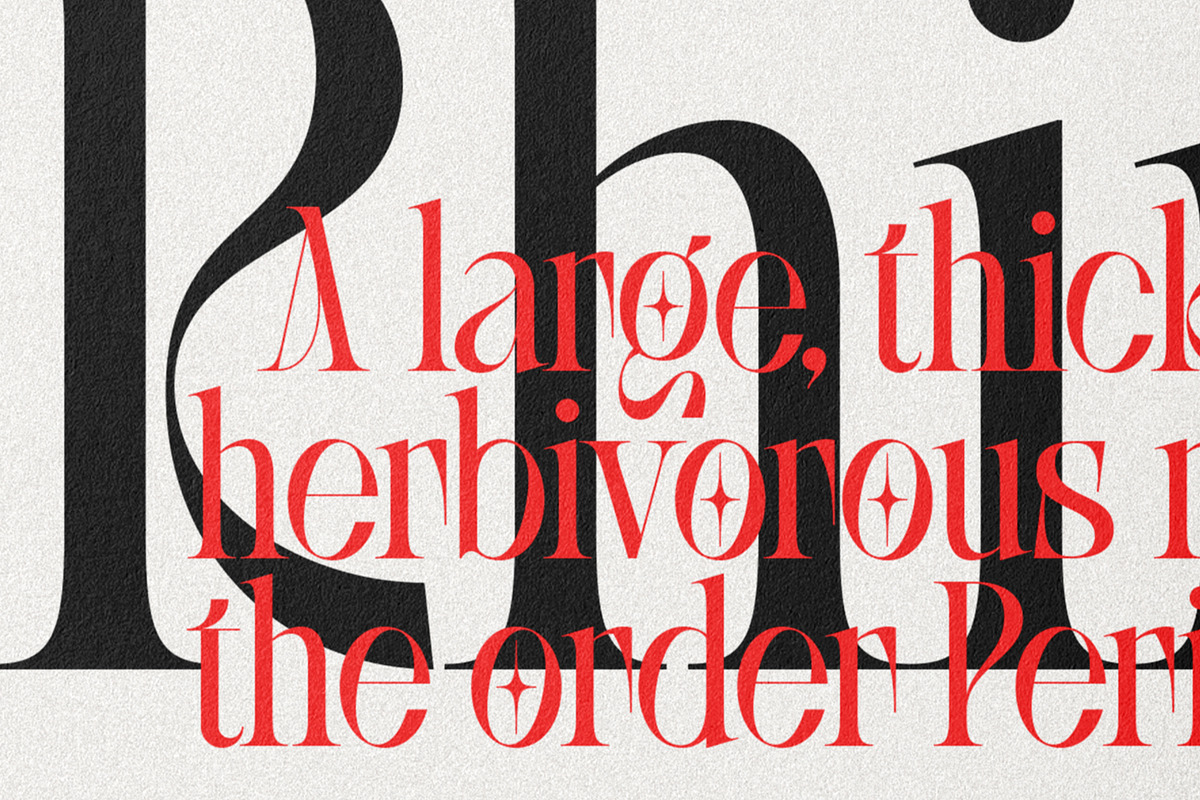 SLTF BOXROOM - Modern Serif Typeface, a Serif Font by SilverStag Type Foundry (Photo 26 of 30)