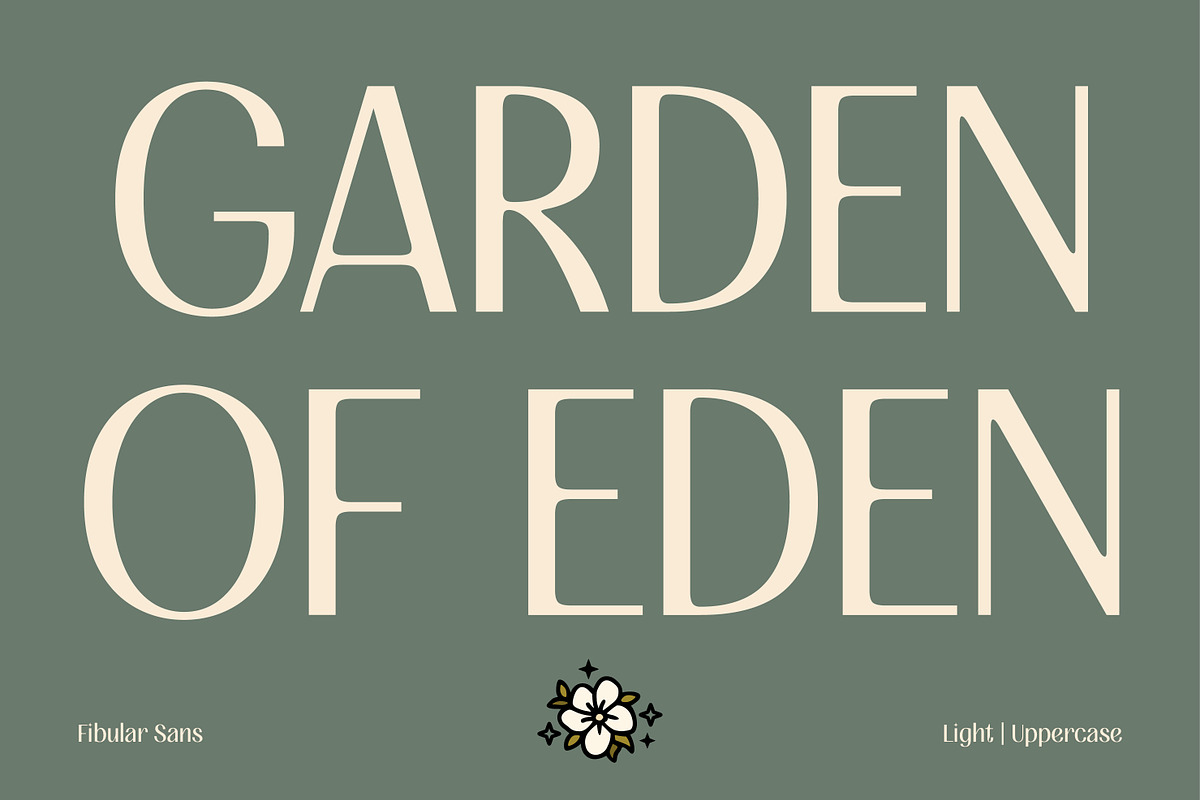 FIBULAR SANS - Variable Display Type, a Sans Serif Font by Artflorara (Photo 8 of 23)