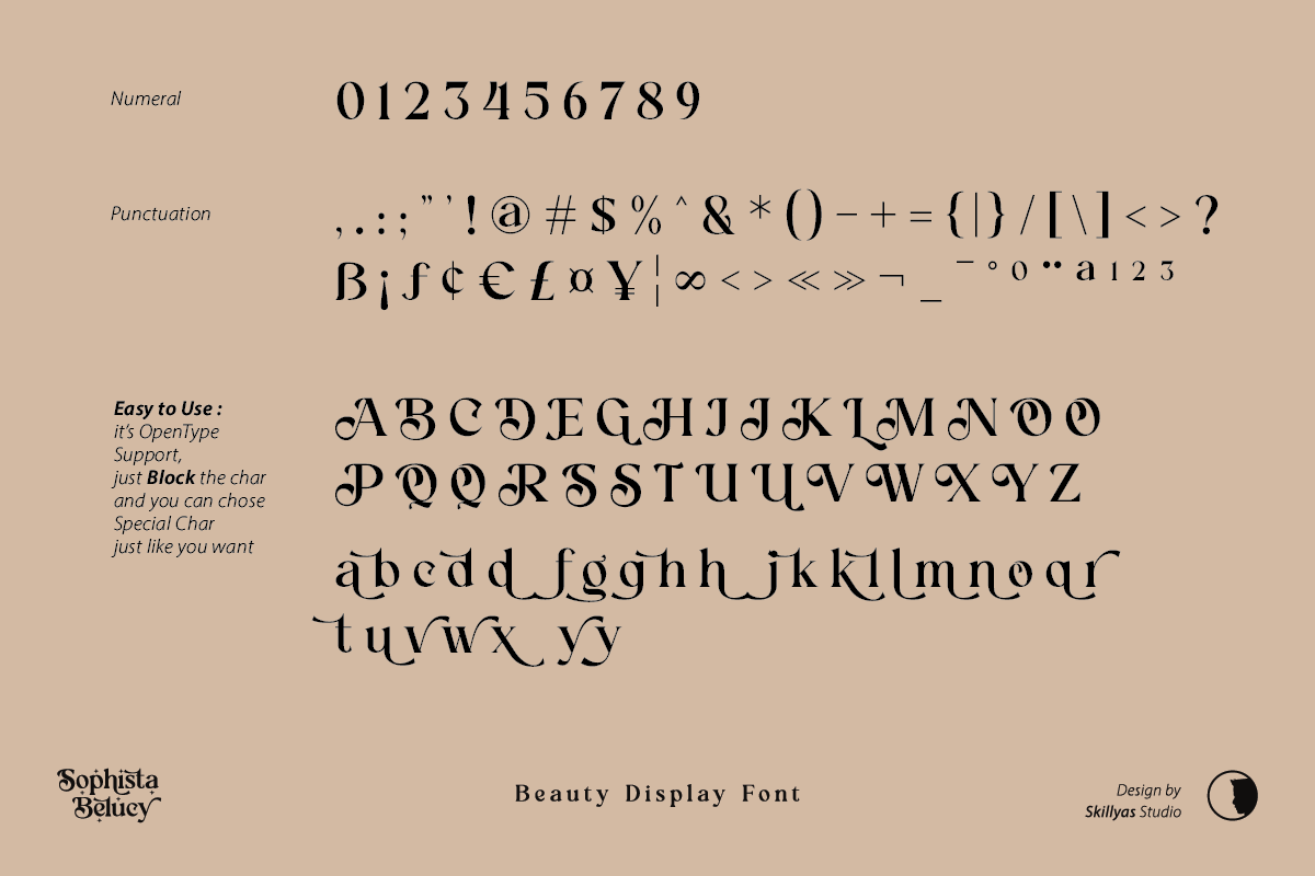 Sophista Belucy Display Beauty Font, a Serif Font by Skillyas_Studio (Photo 10 of 12)
