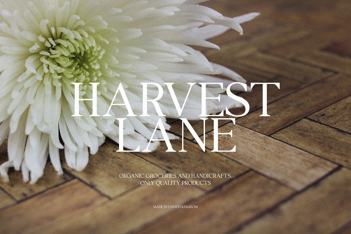 Valkirie - Classical Serif, a Serif Font by Schrifted Type (Photo 3 of 8)