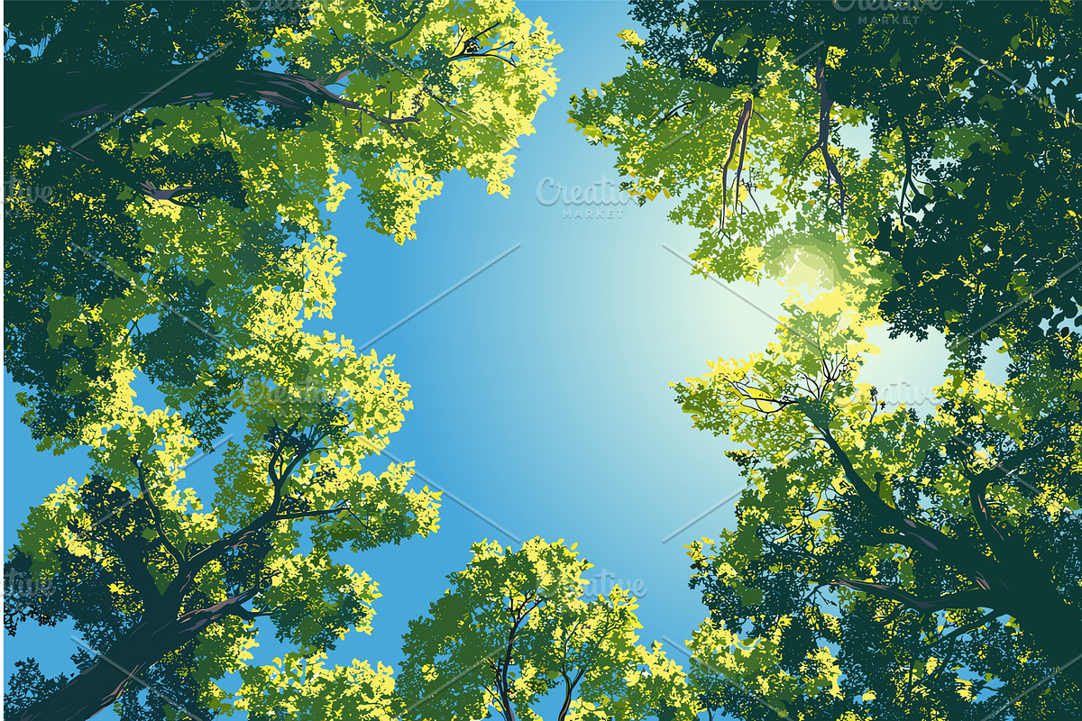 Low angle view of a tree canopy, an Illustration by Valerie Bodnar