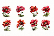 Whimsical spring poppy flower Clipar, an Illustration by Designworld (Thumbnail 8 of 8)