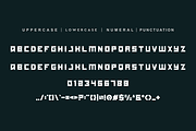 Ganzed - Italic & Sport Font Duo, a Serif Font by QR Design Studio (Thumbnail 6 of 8)