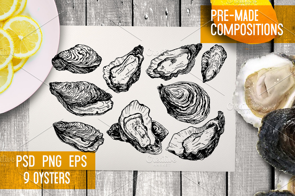 Oysters. Seafood engraving set, a Food Illustration by Alena Kaz (Photo 2 of 4)