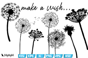 Dandelion Clipart Wild Flower