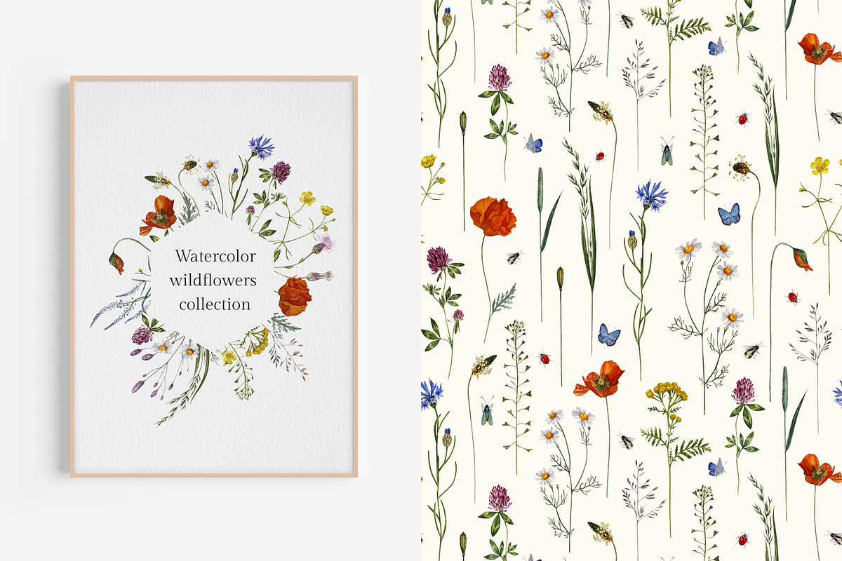 Meadow Botany. Watercolor Floral Set, a Healthcare Illustration by JulShuman (Photo 2 of 11)