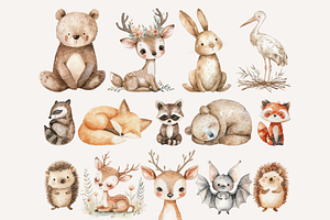 Boho Woodland Animals Clipart