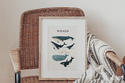 Ocean Animals: colored & outline, a Pattern Graphic by imajineko (Thumbnail 2 of 12)