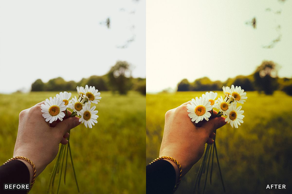 Ai Cherry Blossom Lightroom Presets, a Brushes & More by AAA Presets (Photo 2 of 13)