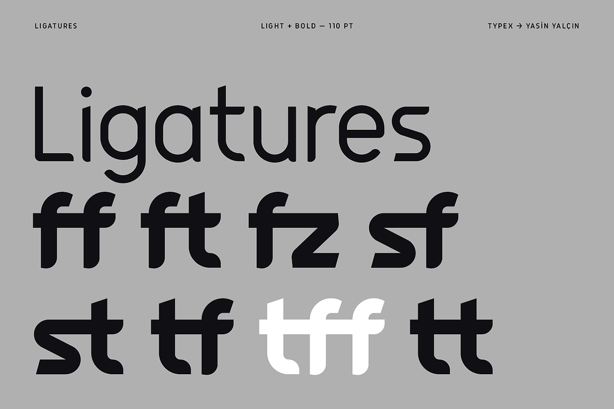 Federasyon Type Family, a Sans Serif Font by Yasin Yalçın (Photo 9 of 14)