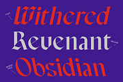 CS Ariston – Blackletter Font, a Blackletter Font by Craft Supply Co. (Thumbnail 3 of 8)