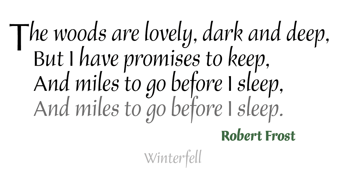 Winterfell, a Serif Font by Alan Meeks Collection (Photo 4 of 4)