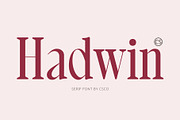 CS Hadwin – Classic Font, a Serif Font by Craft Supply Co. (Thumbnail 1 of 8)